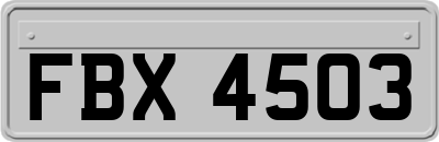 FBX4503