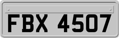 FBX4507