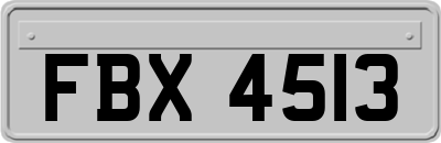FBX4513