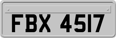 FBX4517