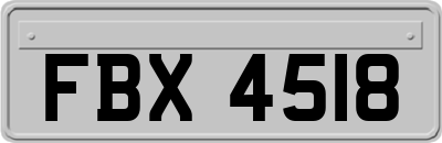 FBX4518