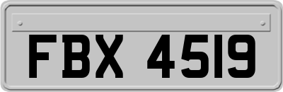 FBX4519