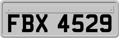 FBX4529