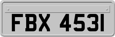FBX4531