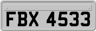 FBX4533