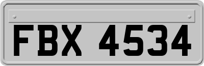 FBX4534