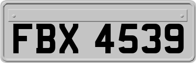 FBX4539