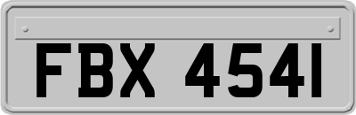 FBX4541