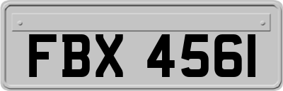 FBX4561
