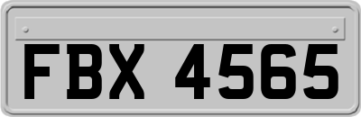 FBX4565