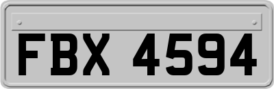 FBX4594