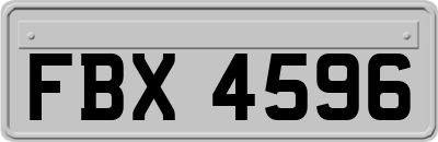 FBX4596