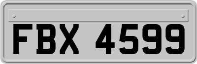FBX4599