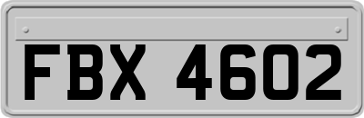 FBX4602