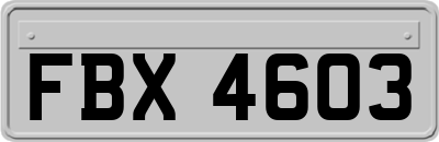 FBX4603