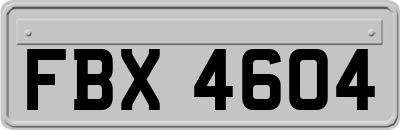 FBX4604
