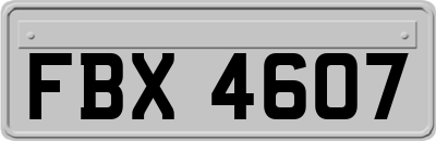 FBX4607