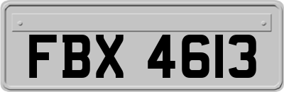 FBX4613
