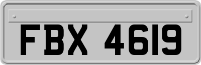 FBX4619