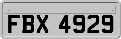 FBX4929