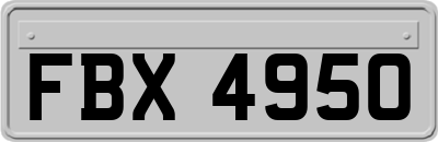 FBX4950