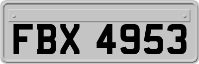 FBX4953