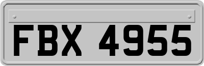 FBX4955