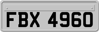FBX4960