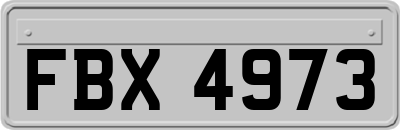 FBX4973