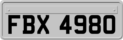 FBX4980