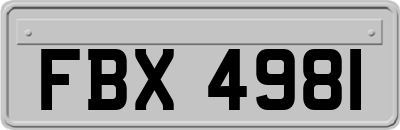 FBX4981