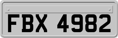 FBX4982