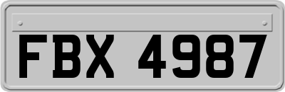 FBX4987
