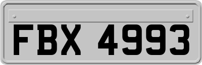 FBX4993