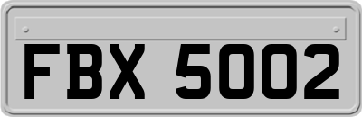 FBX5002