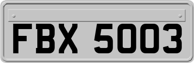 FBX5003