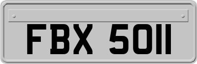 FBX5011