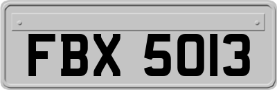 FBX5013