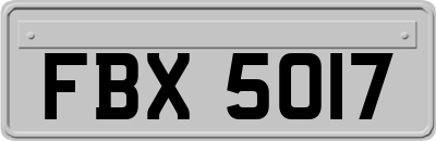 FBX5017