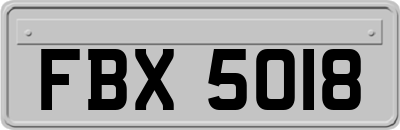 FBX5018