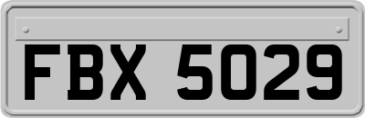 FBX5029