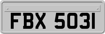 FBX5031