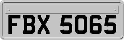 FBX5065