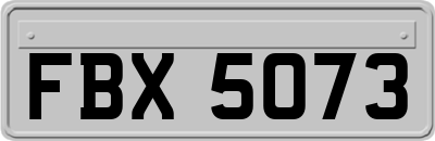 FBX5073