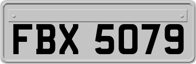 FBX5079