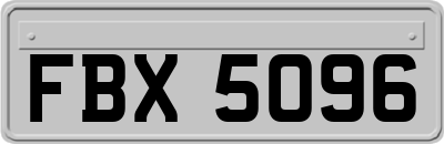 FBX5096