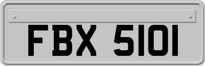 FBX5101