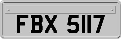 FBX5117