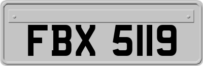 FBX5119