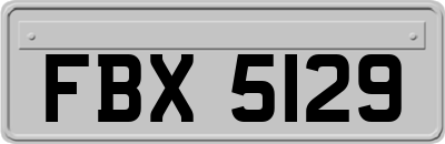 FBX5129